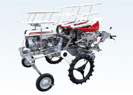 全自動洋蔥缽苗移栽機(jī)